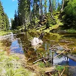 Проживание в семье Gaestehaus
