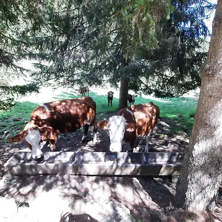 Quarto em Acomodações Particulares Gaestehaus