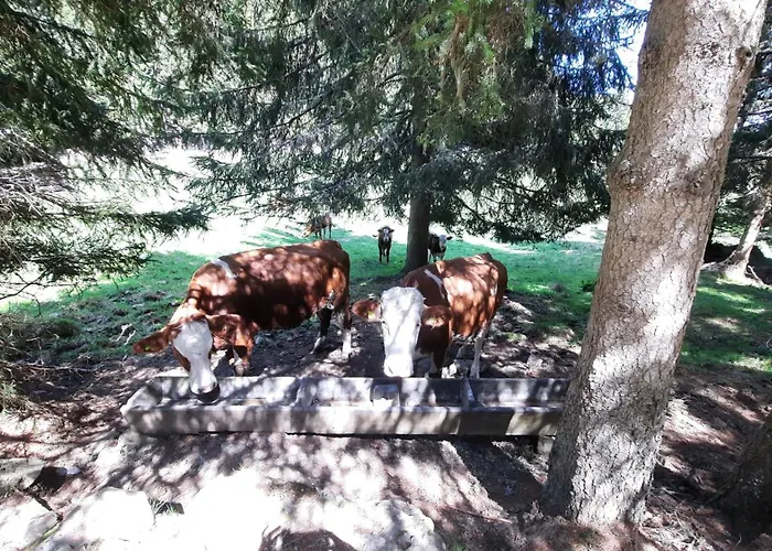 Quarto em Acomodações Particulares Gaestehaus