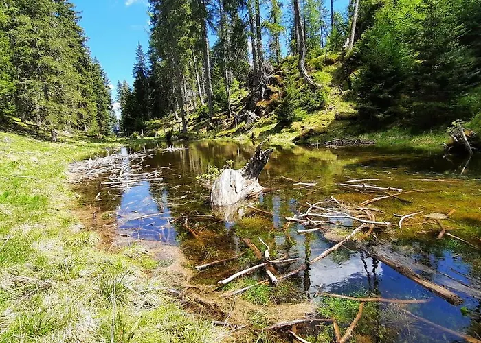 Quarto em Acomodações Particulares Gaestehaus