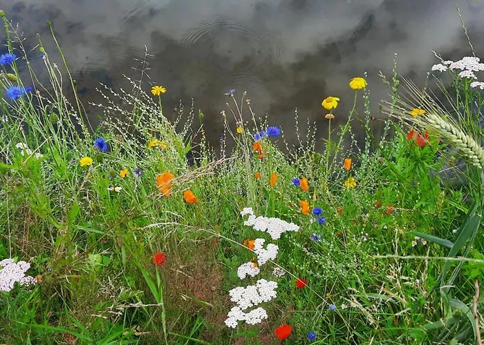 Quarto em Acomodações Particulares Gaestehaus