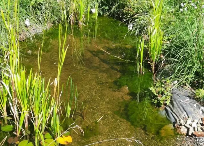 Gaestehaus Stolzalpe