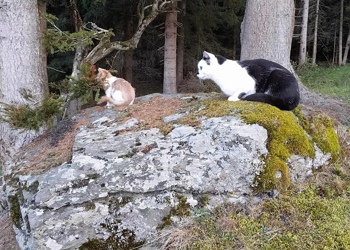 Gaestehaus Quarto em Acomodações Particulares