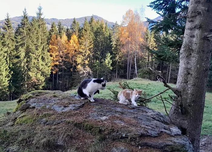 Quarto em Acomodações Particulares Gaestehaus